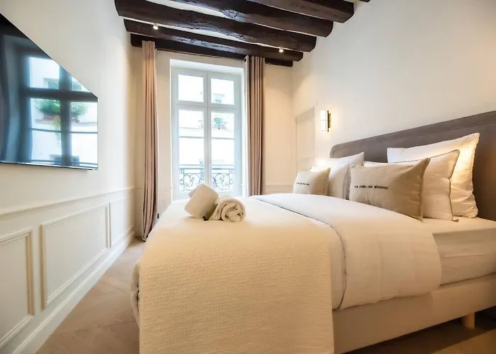 Luxury One Bedroom Flat Near Le Louvre I *
