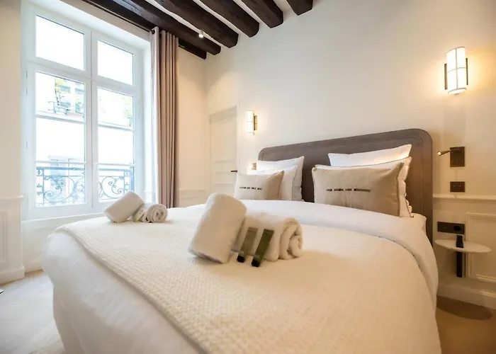 Luxury One Bedroom Flat Near Le Louvre I 아파트 *